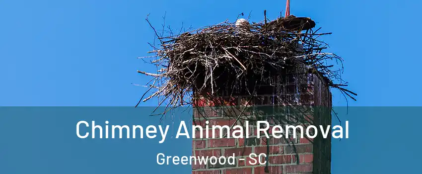Chimney Animal Removal Greenwood - SC