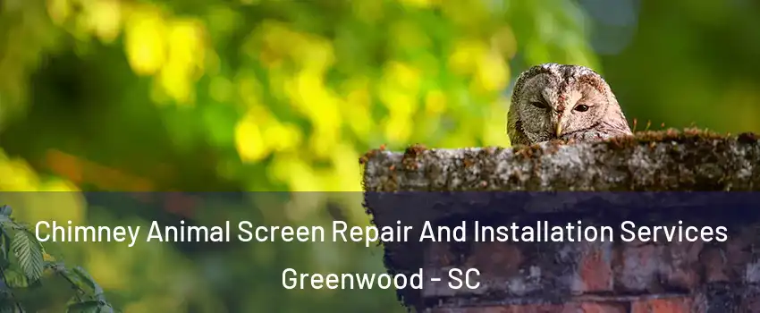  Chimney Animal Screen Repair And Installation Services Greenwood - SC