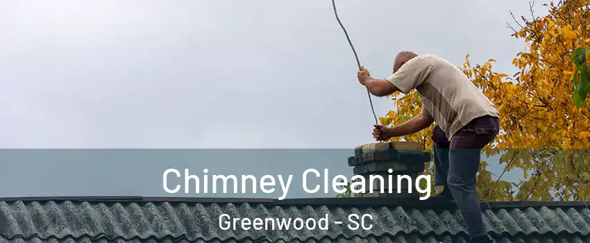  Chimney Cleaning Greenwood - SC