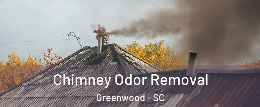  Chimney Odor Removal Greenwood - SC