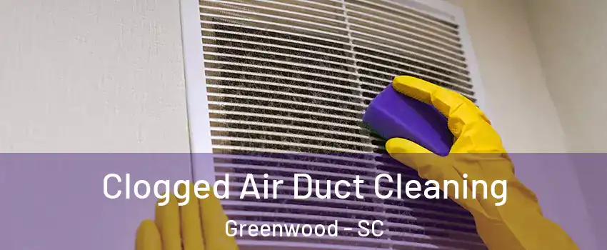  Clogged Air Duct Cleaning Greenwood - SC