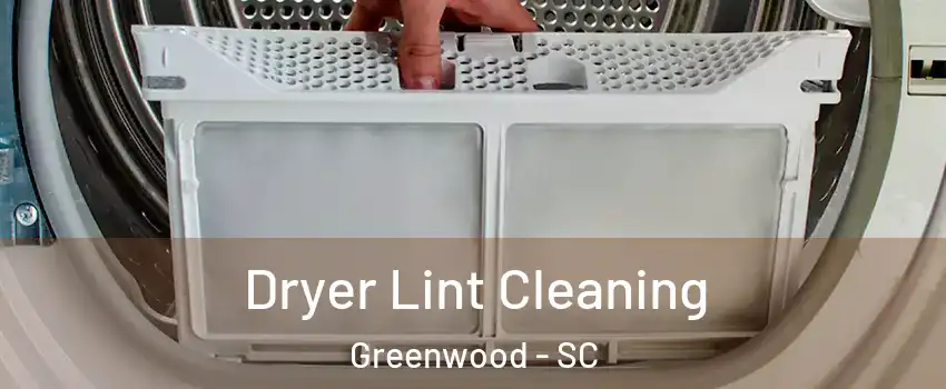  Dryer Lint Cleaning Greenwood - SC