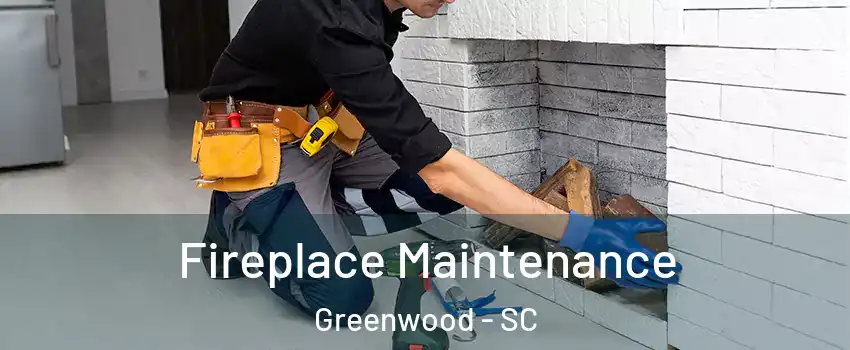  Fireplace Maintenance Greenwood - SC