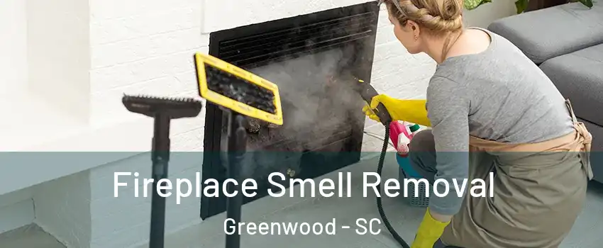  Fireplace Smell Removal Greenwood - SC