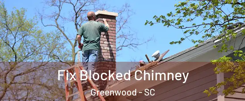  Fix Blocked Chimney Greenwood - SC