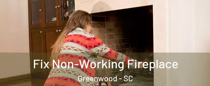  Fix Non-Working Fireplace Greenwood - SC