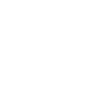 Professional Chimney Flue Installation in Greenwood, South Carolina