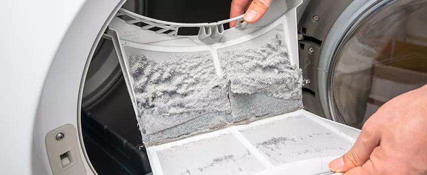 Best Dryer Lint Removal Company in Greenwood, South Carolina