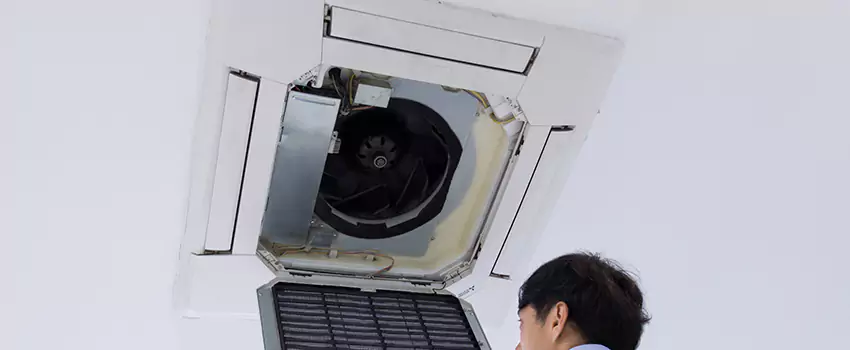 Benefits of Professional Air Duct Cleaning in Greenwood, South Carolina