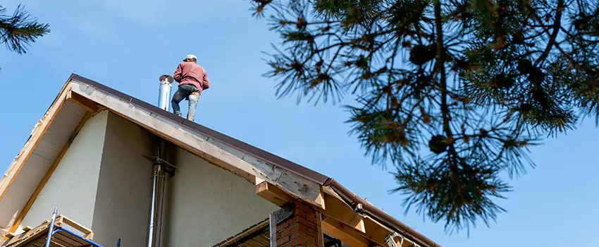 Birds Removal Contractors from Chimney in Greenwood, SC