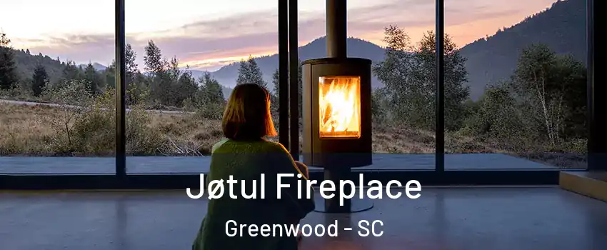  Jøtul Fireplace Greenwood - SC