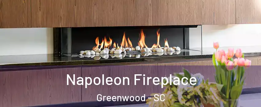  Napoleon Fireplace Greenwood - SC